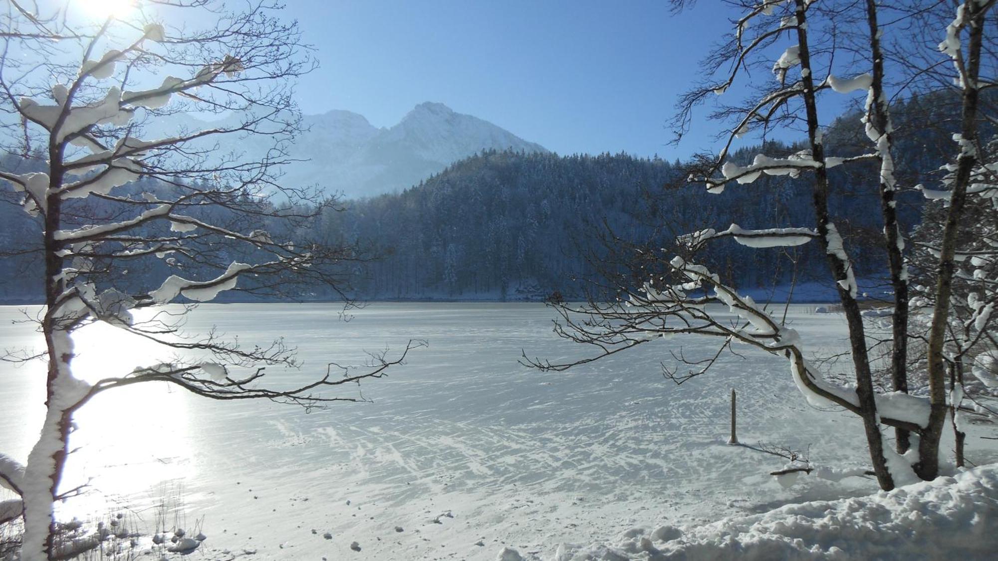 Fw Weissensee 44 Фюссен Экстерьер фото